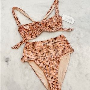 L space Camellina top